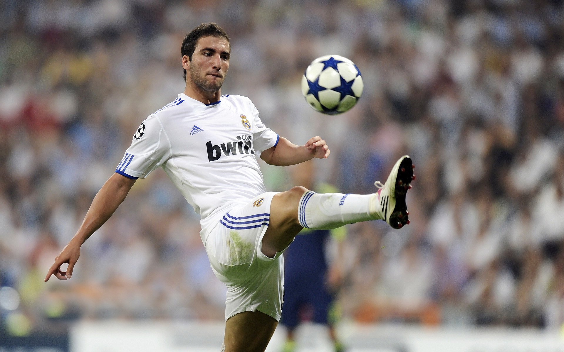 综合格斗赛场焦点！比利时队对阵巴西队，冠军之争悬念重重，胜负难料